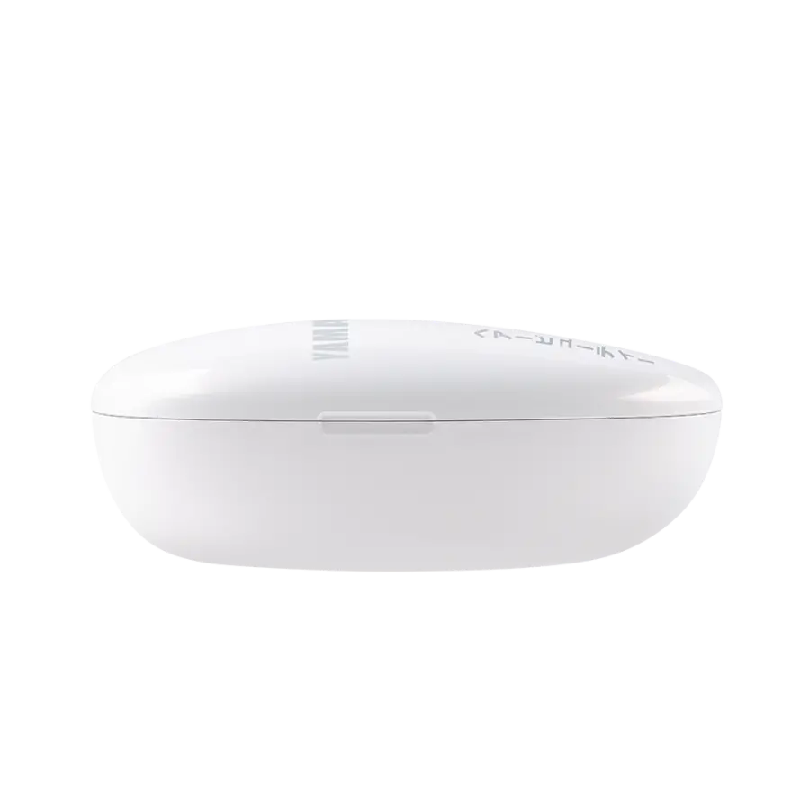 Yamaguchi EMS Hair Brush Mini